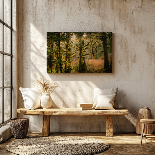Sitka Spruce Shadows