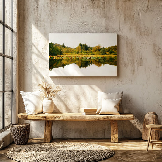 Grassy Reflections
