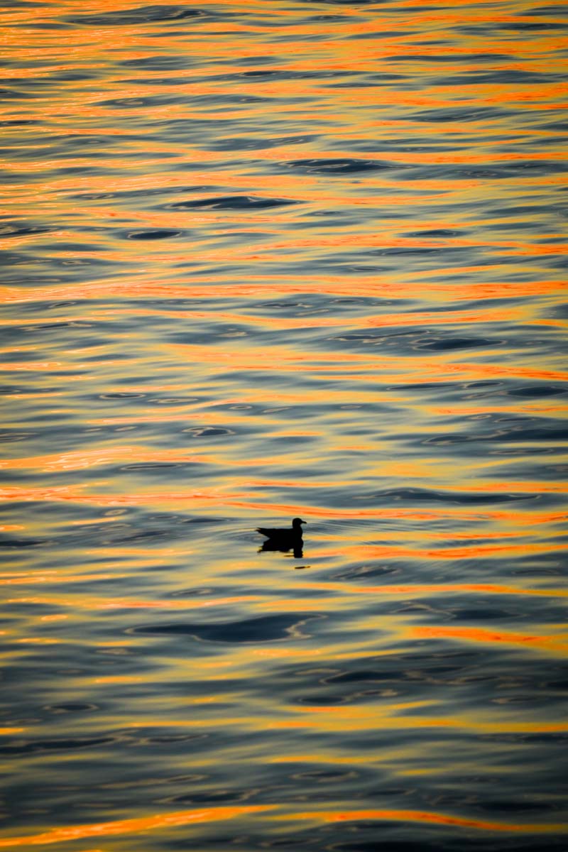 Drifting Dreams