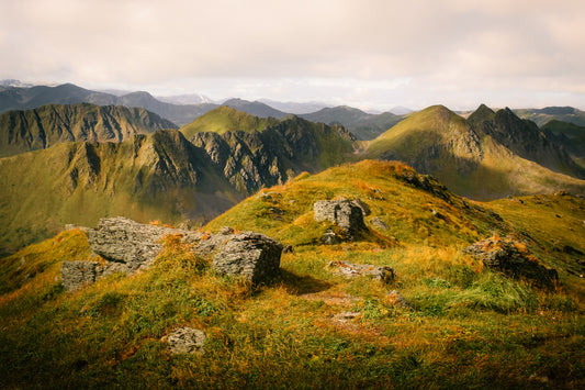 Beyond the Shire