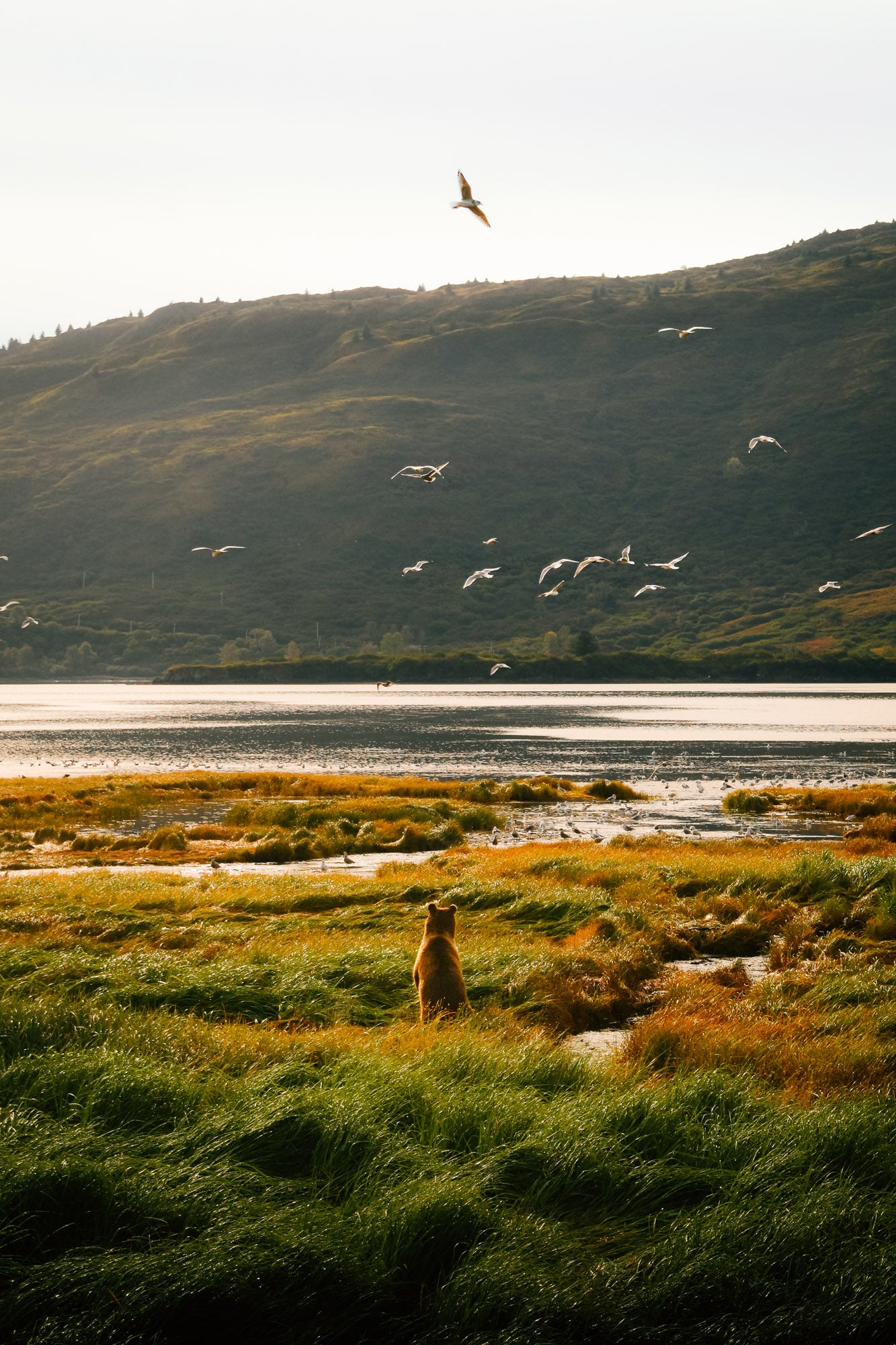 Curious Horizons