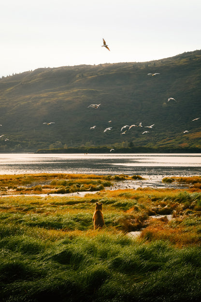 Curious Horizons
