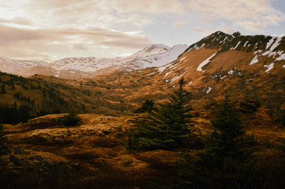 Through the Alpenglow