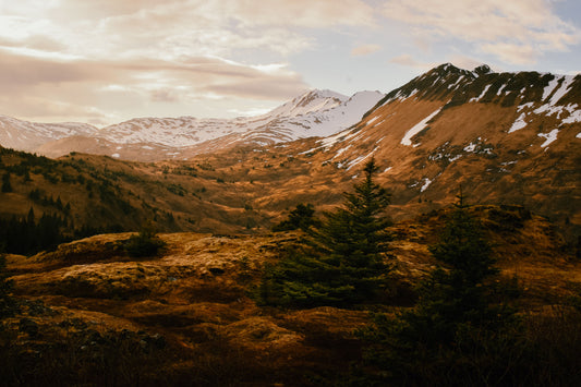 Through the Alpenglow