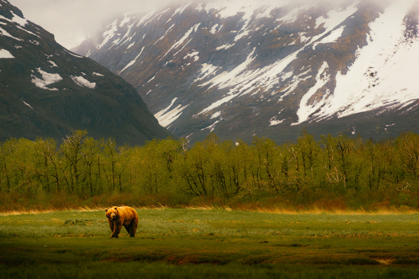 Katmai