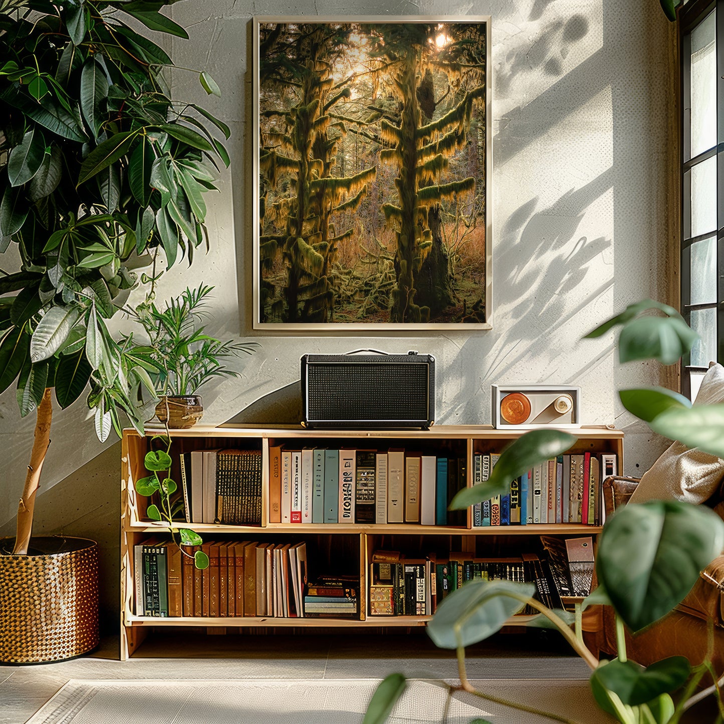 Sitka Spruce Shadows