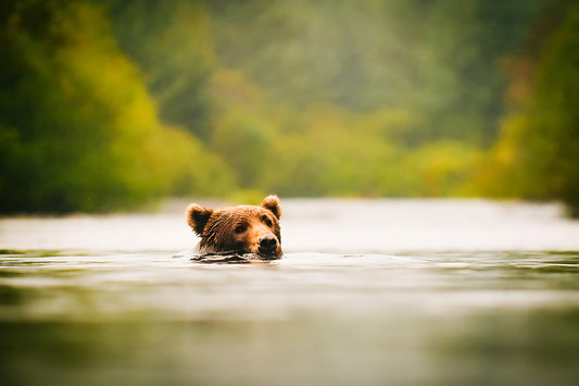 I See You