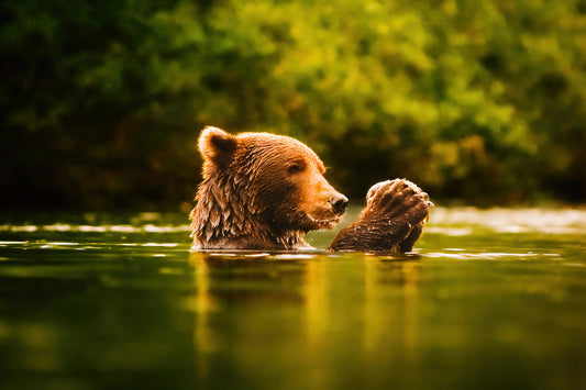 Silent Prayer