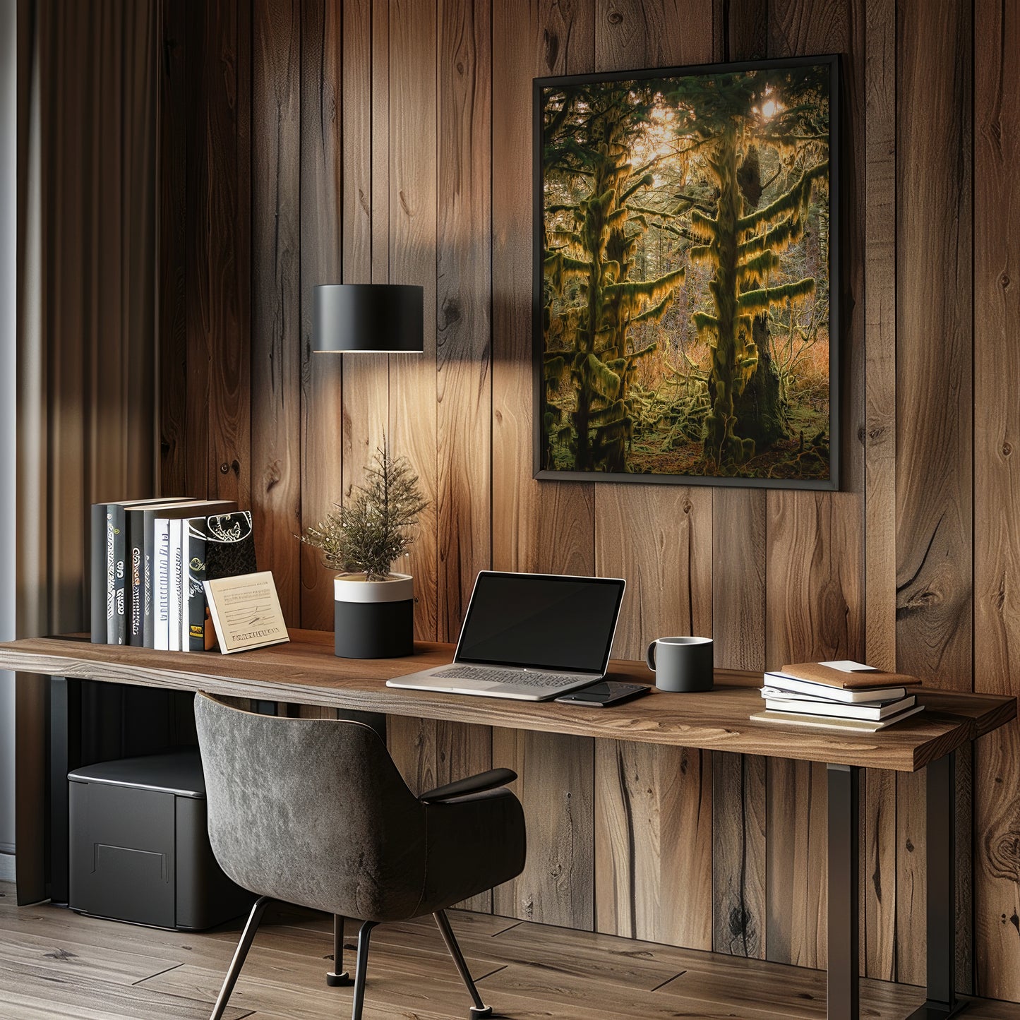 Sitka Spruce Shadows